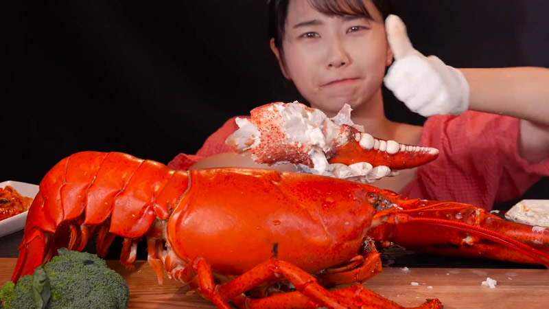 【SUNA助眠】吃播：超大型龙虾（6.5kg）